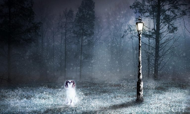 वो श्राप जिससे एक क्रूर जज तड़प-तड़प कर मरा