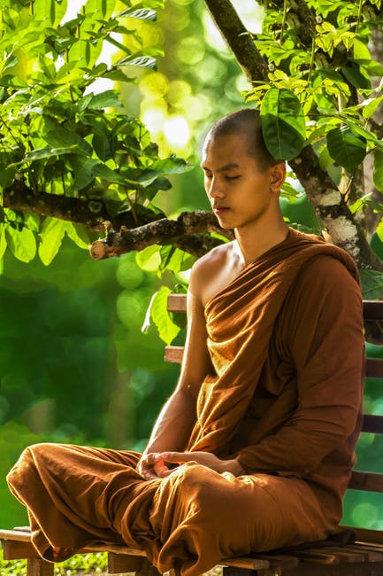 एक बौद्ध भिक्षु के पुनर्जन्म की कथा
